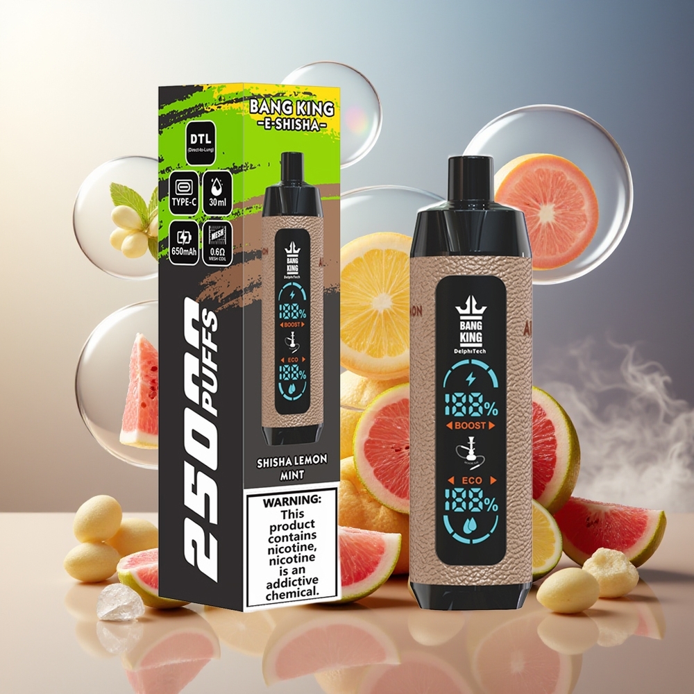 Bang King Shisha 25000 Puffs Norge Engros 30ml 650mAh Type-C Mesh 0.6 Ohm Lenmon Mynte