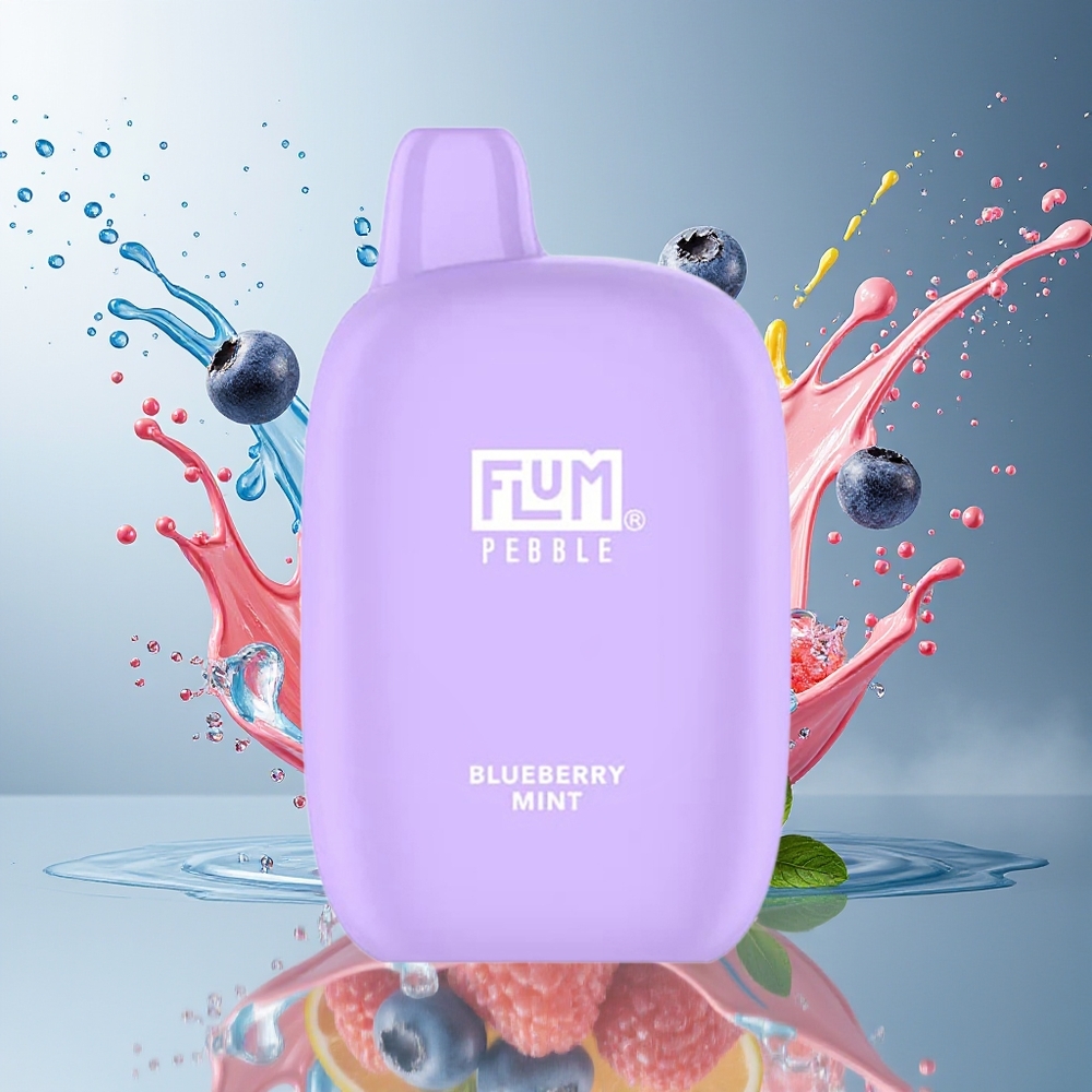 FLUM Pebble 6000 10ml 5% Mesh Coil Type-C Norge Engros Blåbær Mynte