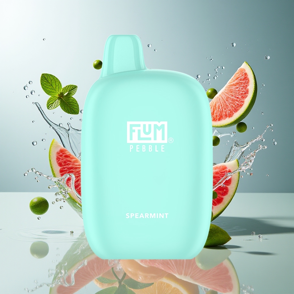FLUM Pebble 6000 10ml 5% Nikotin Type-C Lader Norge Engros Vårmynte