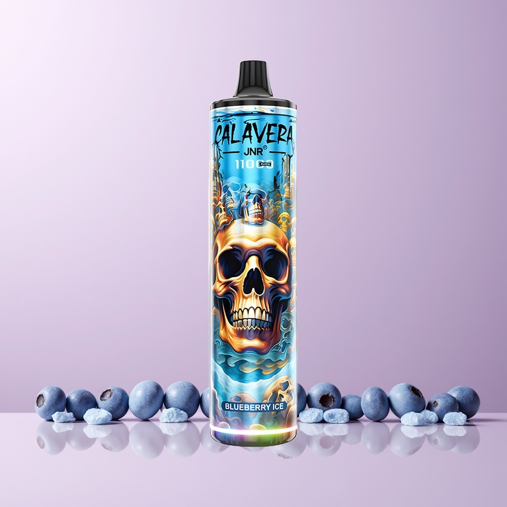 JNR Calavera 11000 Puffs Norge Engros Type-C 850mAh 21ml 1.0ohm Blåbær Is