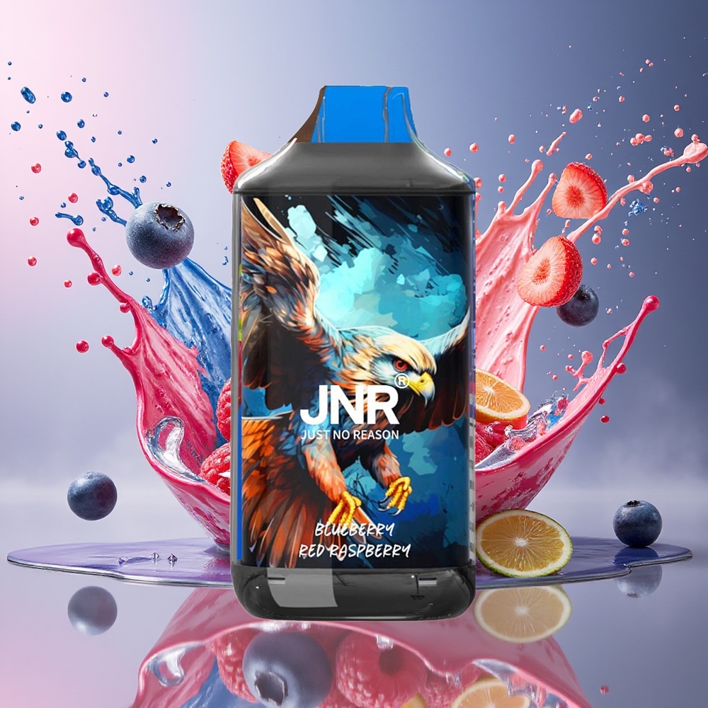 JNR Falcon 16000 Puffs Norge Engros 850mAh 22ml Dual Mesh Coil Blåbær Rød Bringebær