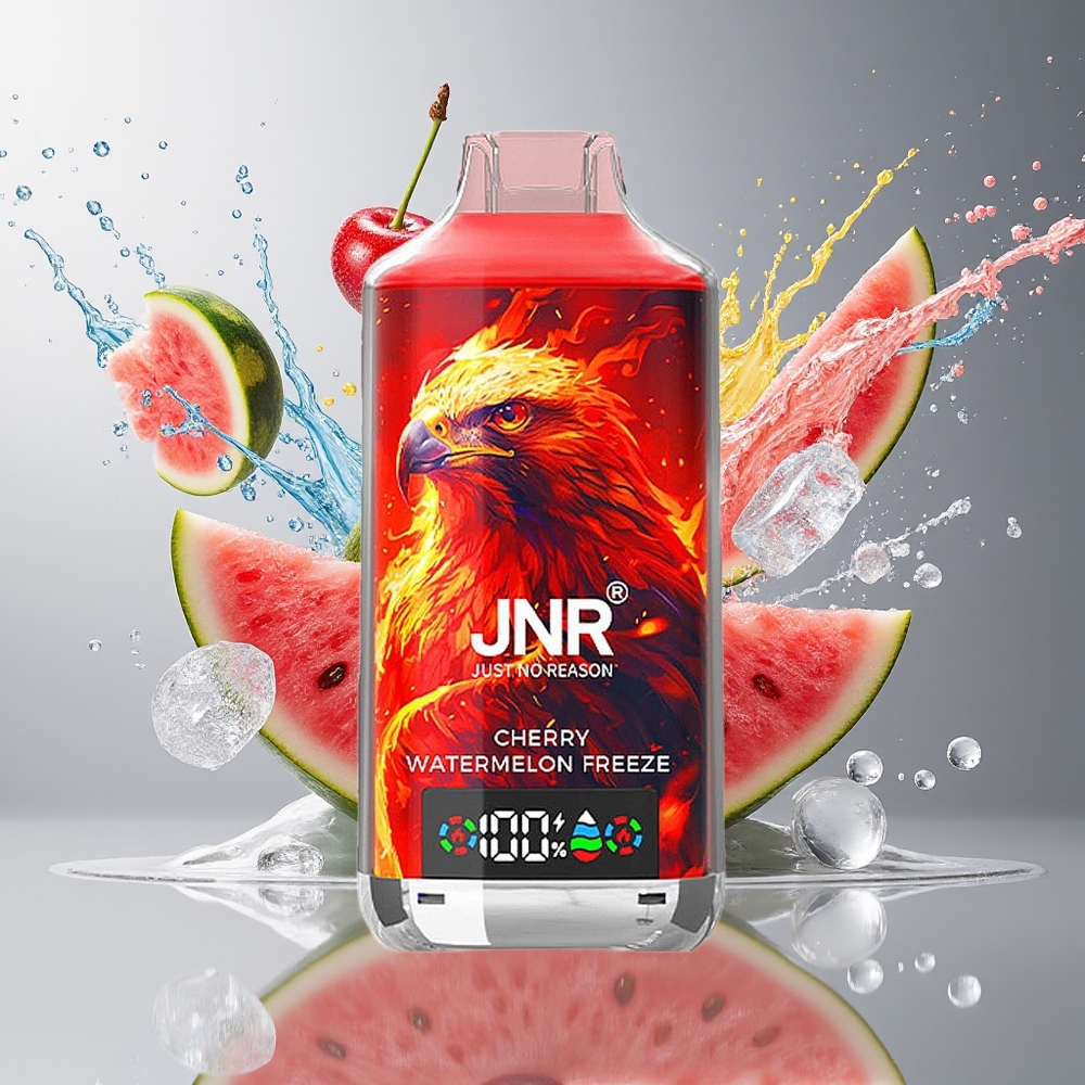 JNR Falcon X 18000 Puffs Norge Engros 750mAh 24ml Dual Mesh Coil Type-C Kirsebær Vannmelon Fryse