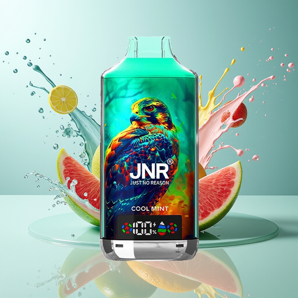 JNR Falcon X 18000 Puffs Norge Engros 750mAh 24ml Dual Mesh Display Type-C Kjølig Mynte