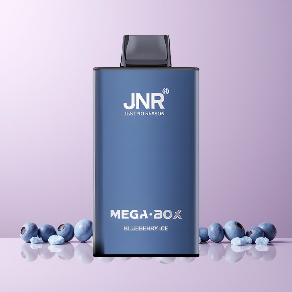 JNR Mega Box 25000 Puffs Norge Engros 30ml 850mAh Dual Mesh Blåbær Is