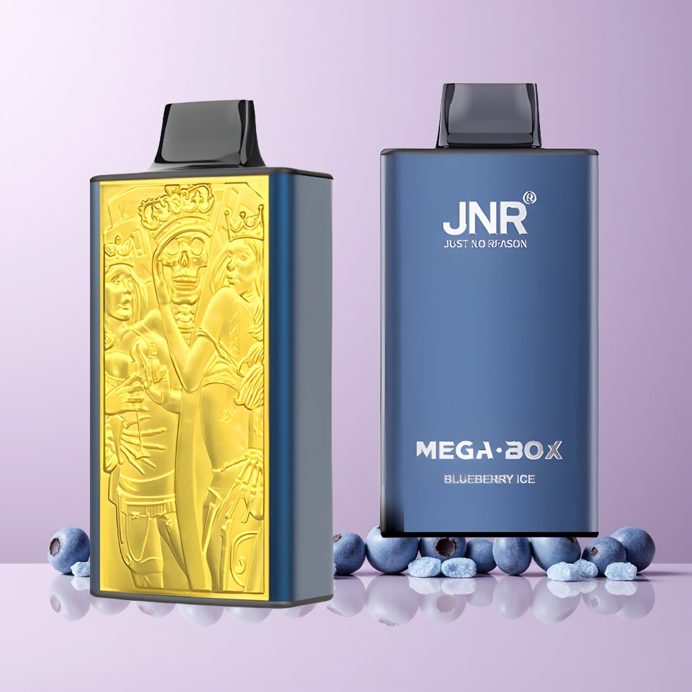 JNR Mega Box 25000 Puffs Norge Engros 30ml 850mAh Dual Mesh Blåbær Is