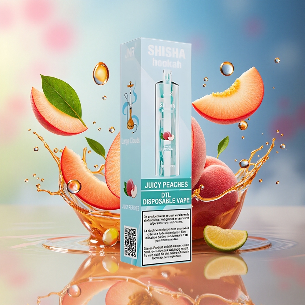 JNR Shisha Hookah 12000 Puffs Norge Engros Juicy Peaches 750mAh Type-C