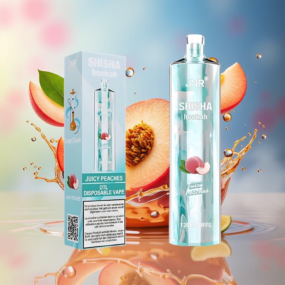 JNR Shisha Hookah 12000 Puffs Norge Engros Juicy Peaches 750mAh Type-C
