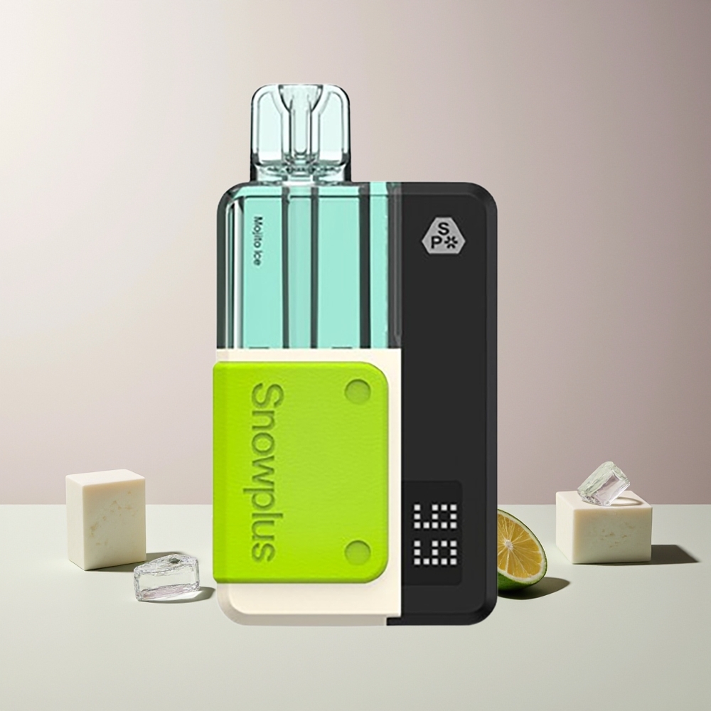 Snowplus Swift 5000 Puffs Dual Mesh 1000 mAh Mojito Is Norge Engros