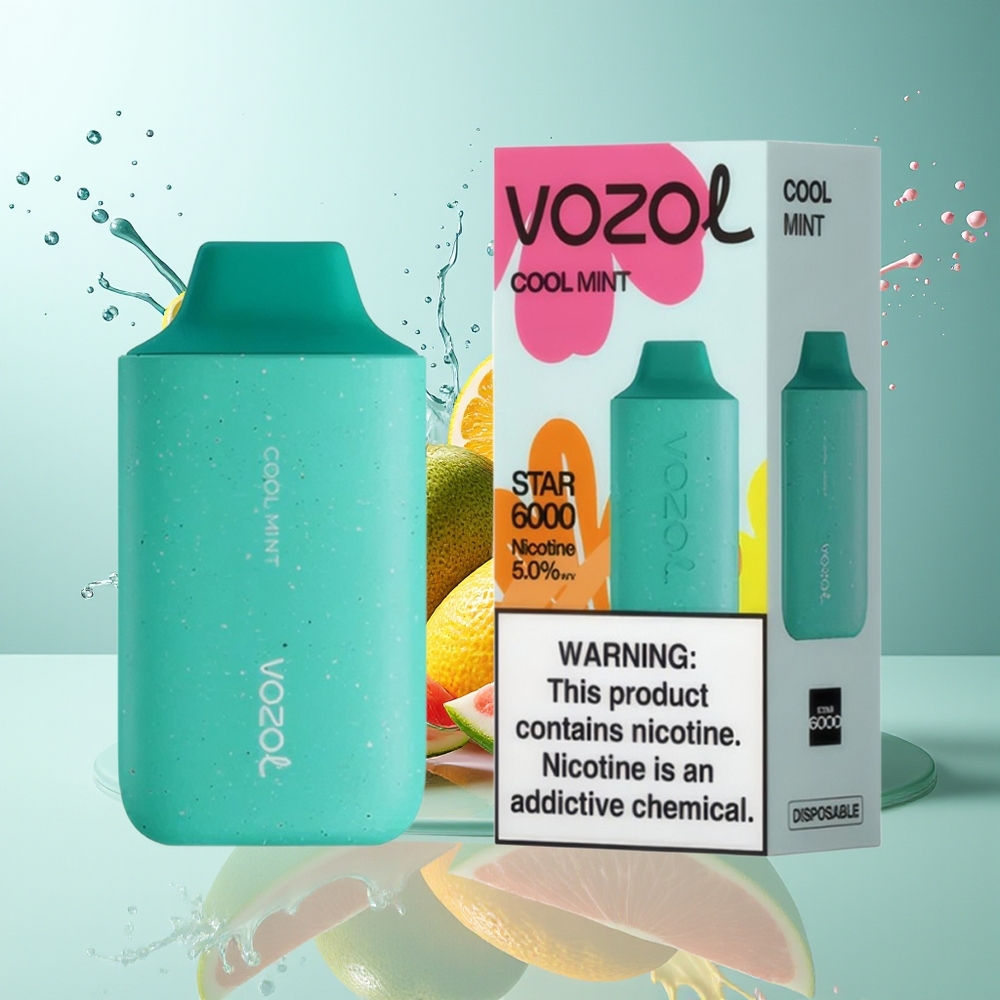VOZOL STAR 6000 Norge Engros Kjølig Mynte 14ML 6000 Puffs Type-C 50mg/ml